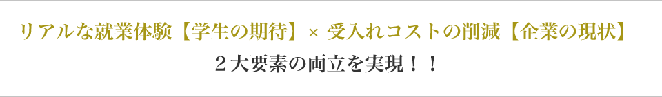 リアルな就業体験【学生の期待】× 受入れコストの削減【企業の現状】２大要素の両立を実現！！
